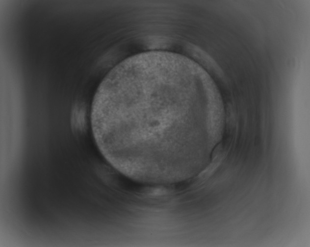 X0000100940074200807151315