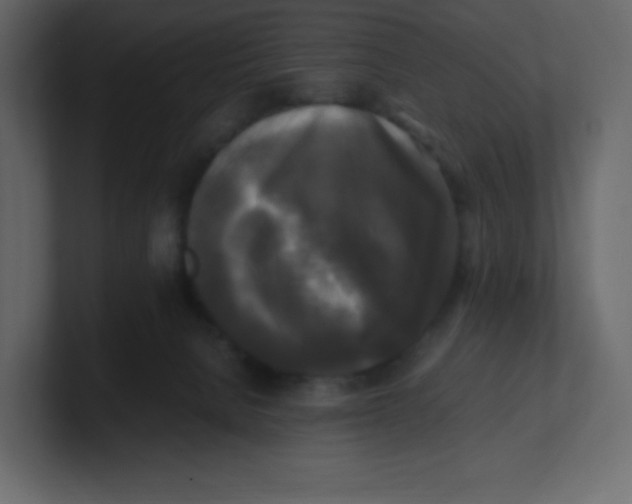 X0000100940080200807151315