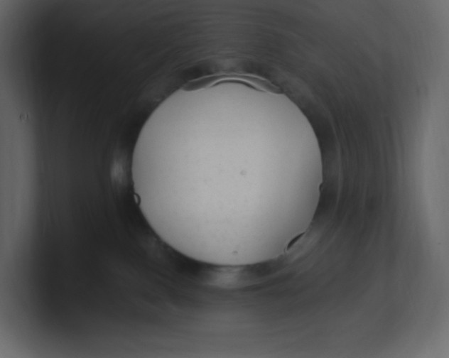 X0000100940090200807151315