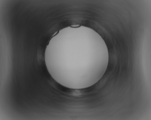 X0000100940091200807151315