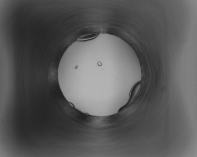 X0000100940096200807151315