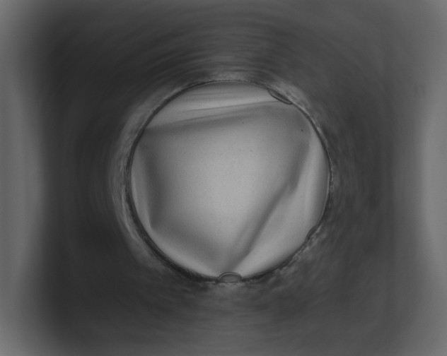 X0000100940097200807151315