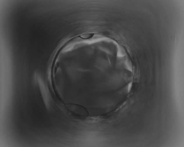 X0000100940099200807151315