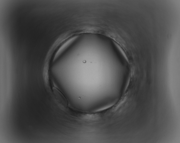 X0000100940101200807151315