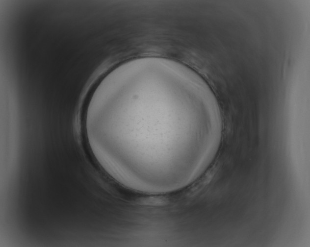 X0000100940102200807151315