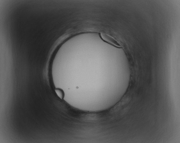 X0000100940104200807151315