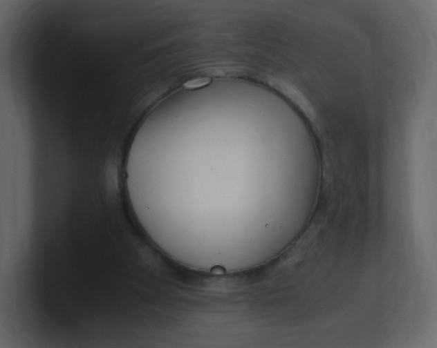 X0000100940105200807151315