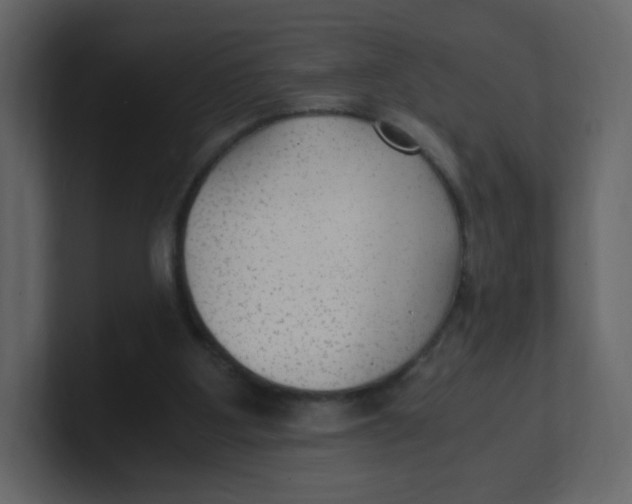 X0000100940107200807151315