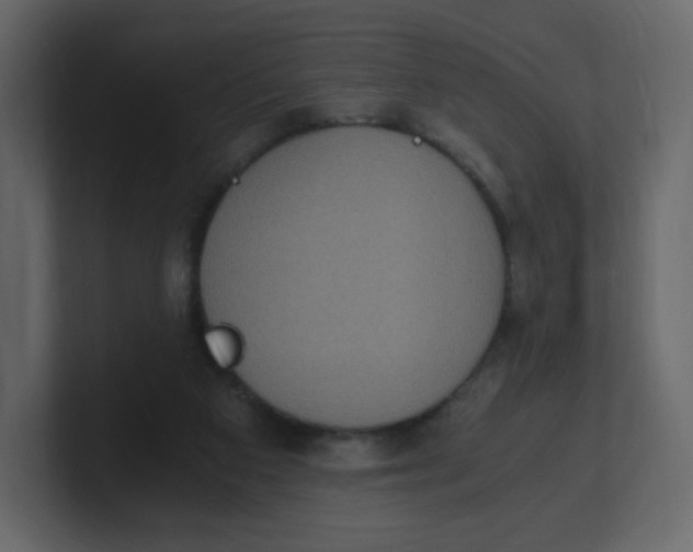 X0000100940113200807151315