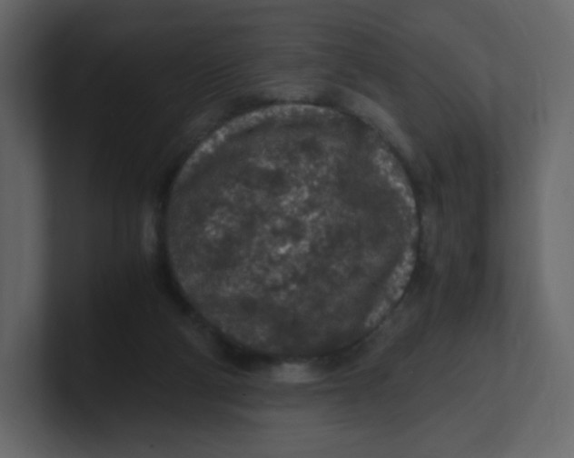 X0000100940114200807151314