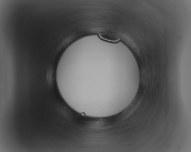 X0000100940116200807151314