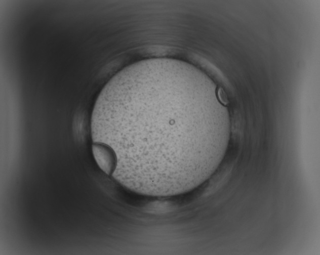 X0000100940119200807151314