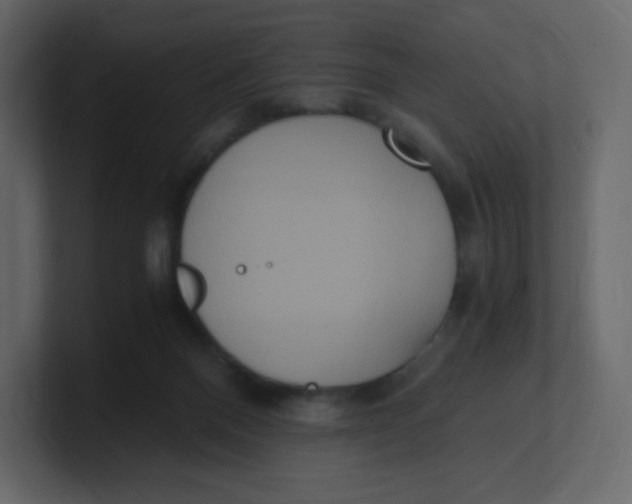 X0000100940120200807151314