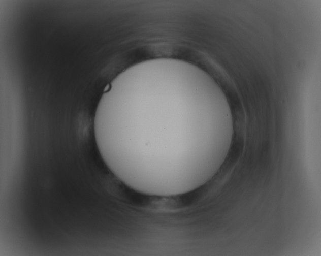 X0000100940125200807151314