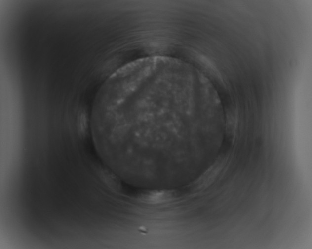 X0000100940130200807151314