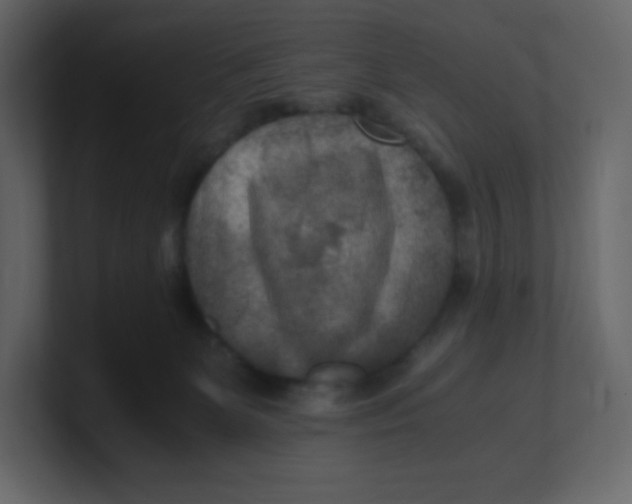 X0000100940131200807151314