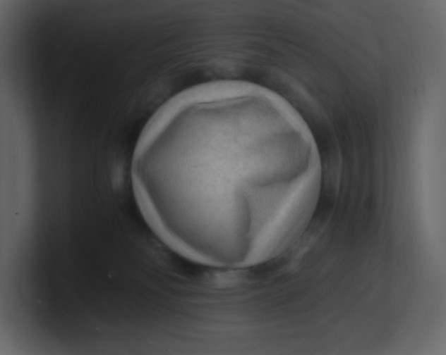 X0000100940134200807151314