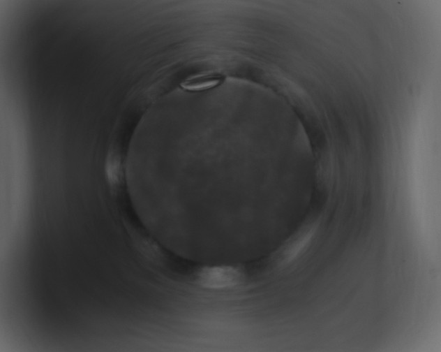 X0000100940137200807151314