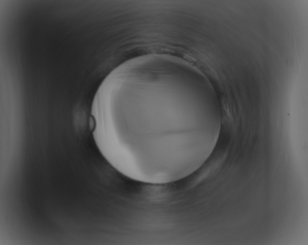 X0000100940139200807151314