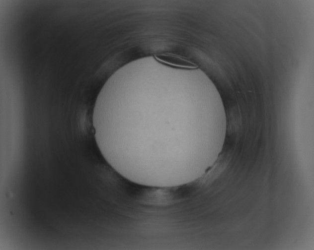 X0000100940140200807151314