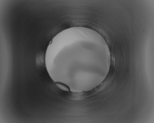 X0000100940143200807151314