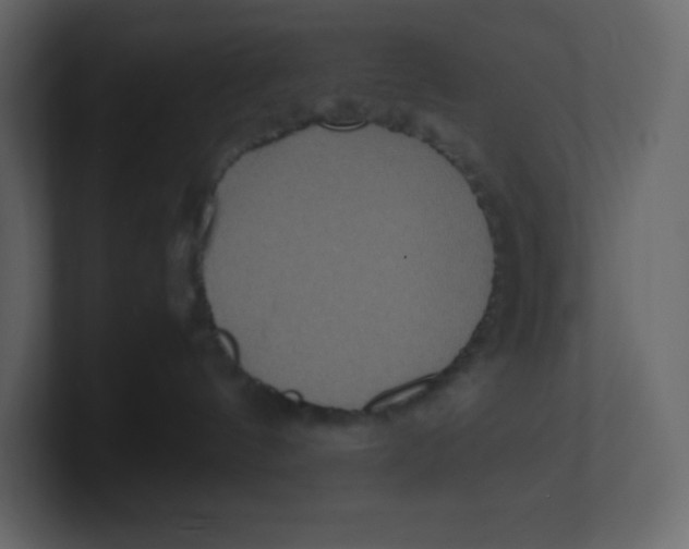 X0000100940144200807151314