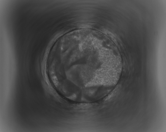 X0000100940145200807151313