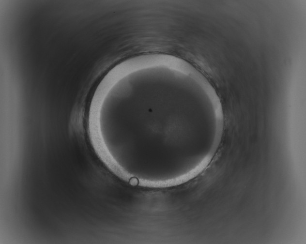 X0000100940146200807151313