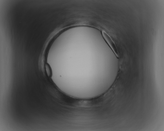 X0000100940152200807151313