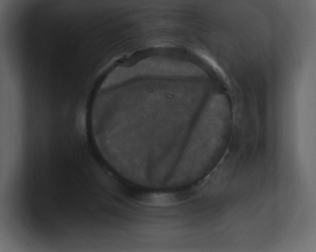 X0000100940154200807151313