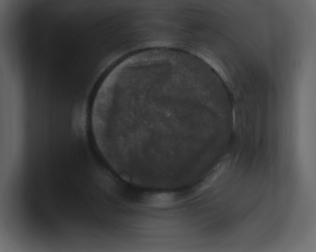 X0000100940156200807151314