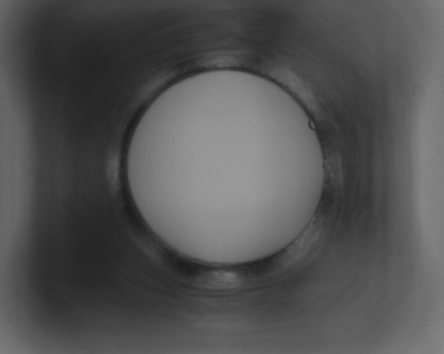 X0000100940159200807151314