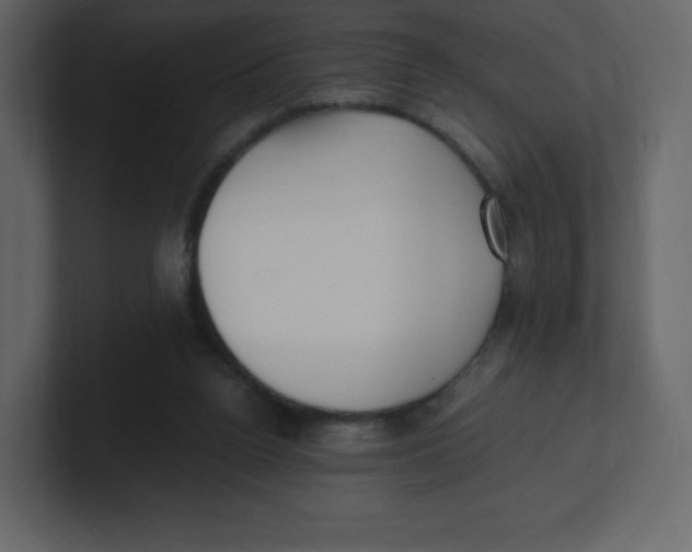 X0000100940160200807151314