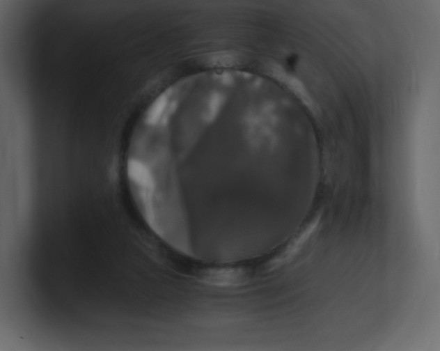 X0000100940161200807151314