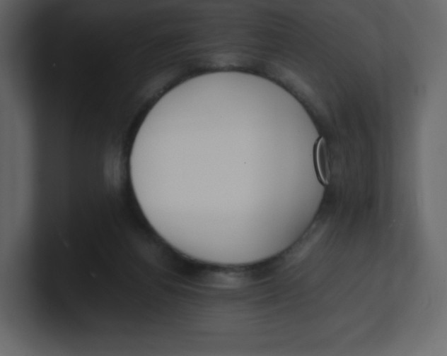 X0000100940164200807151314