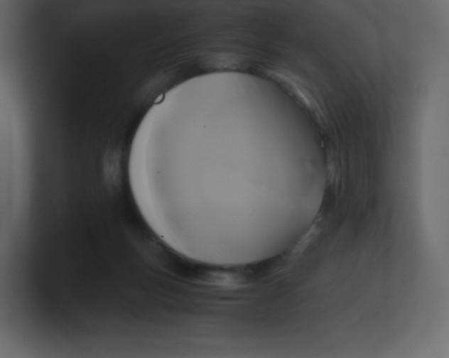 X0000100940167200807151314