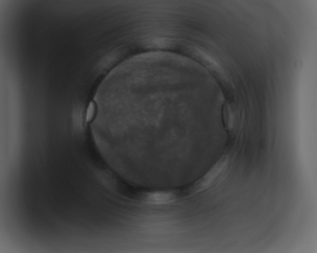 X0000100940168200807151314