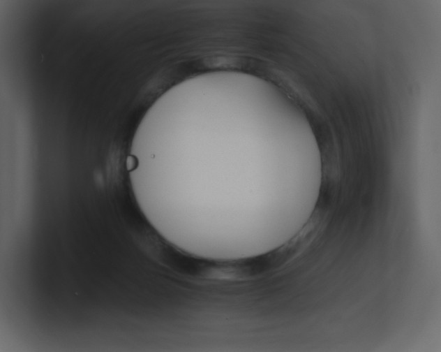 X0000100940171200807151314