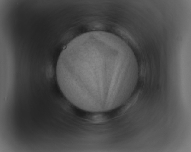 X0000100940173200807151314