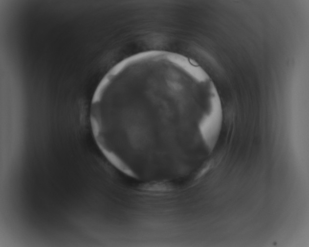 X0000100940181200807151314