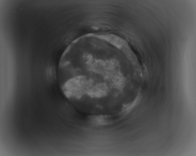 X0000100940182200807151314