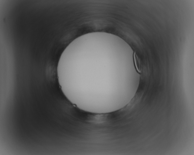 X0000100940184200807151314