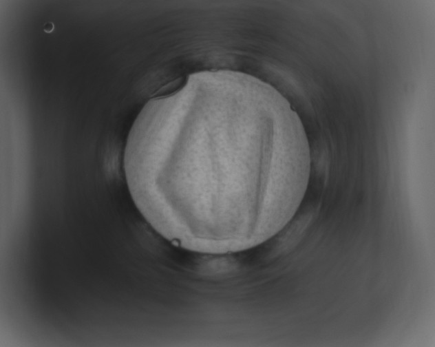 X0000100940185200807151314