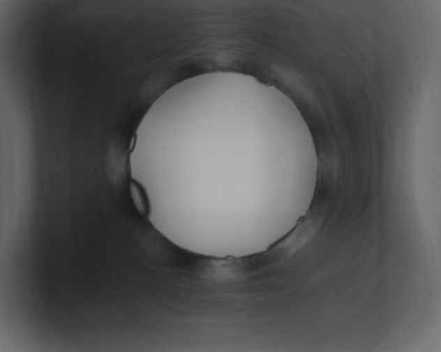 X0000100940188200807151314