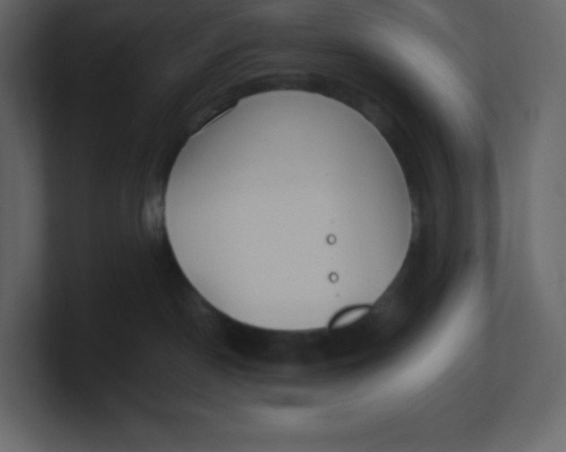 X0000100940190200807151314