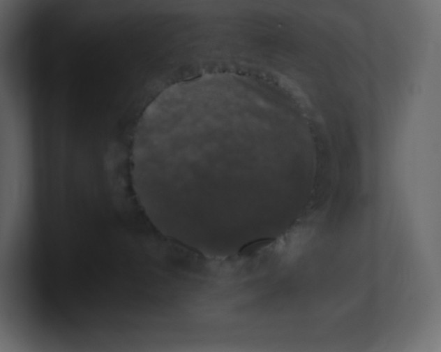 X0000100940192200807151314