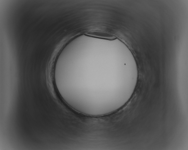 X0000100940193200807151313