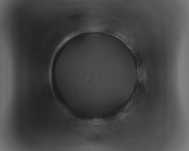 X0000100940196200807151313