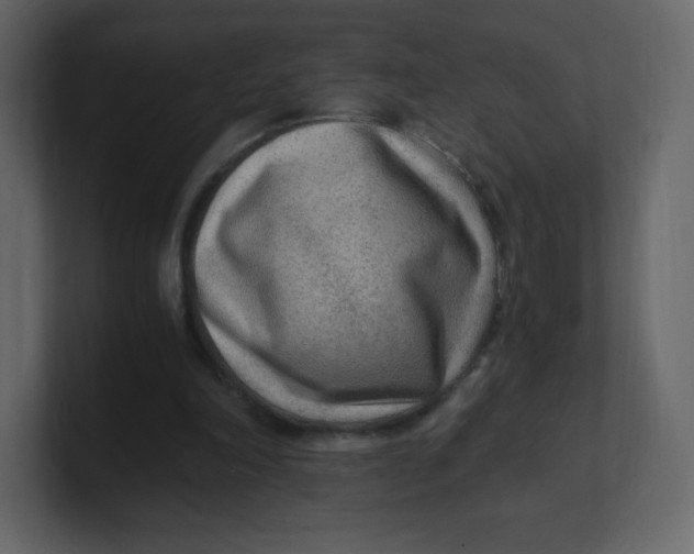 X0000100940198200807151313