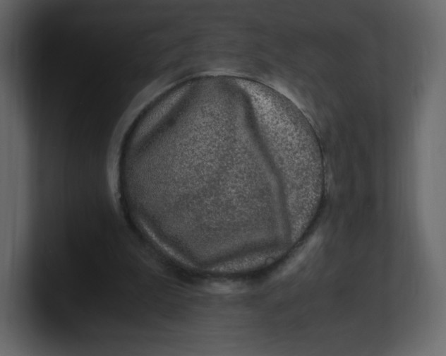 X0000100940199200807151313